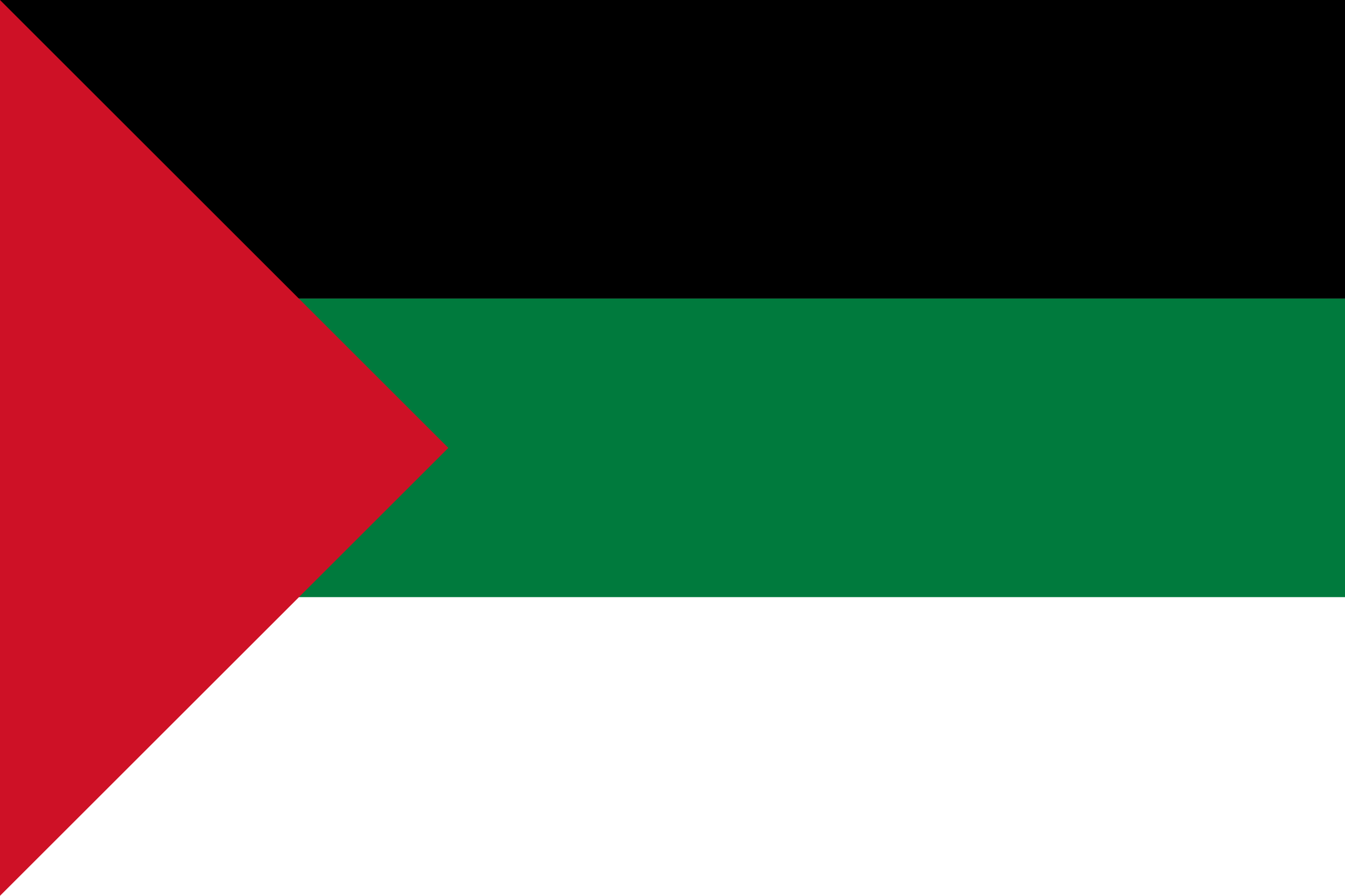 العربية flag